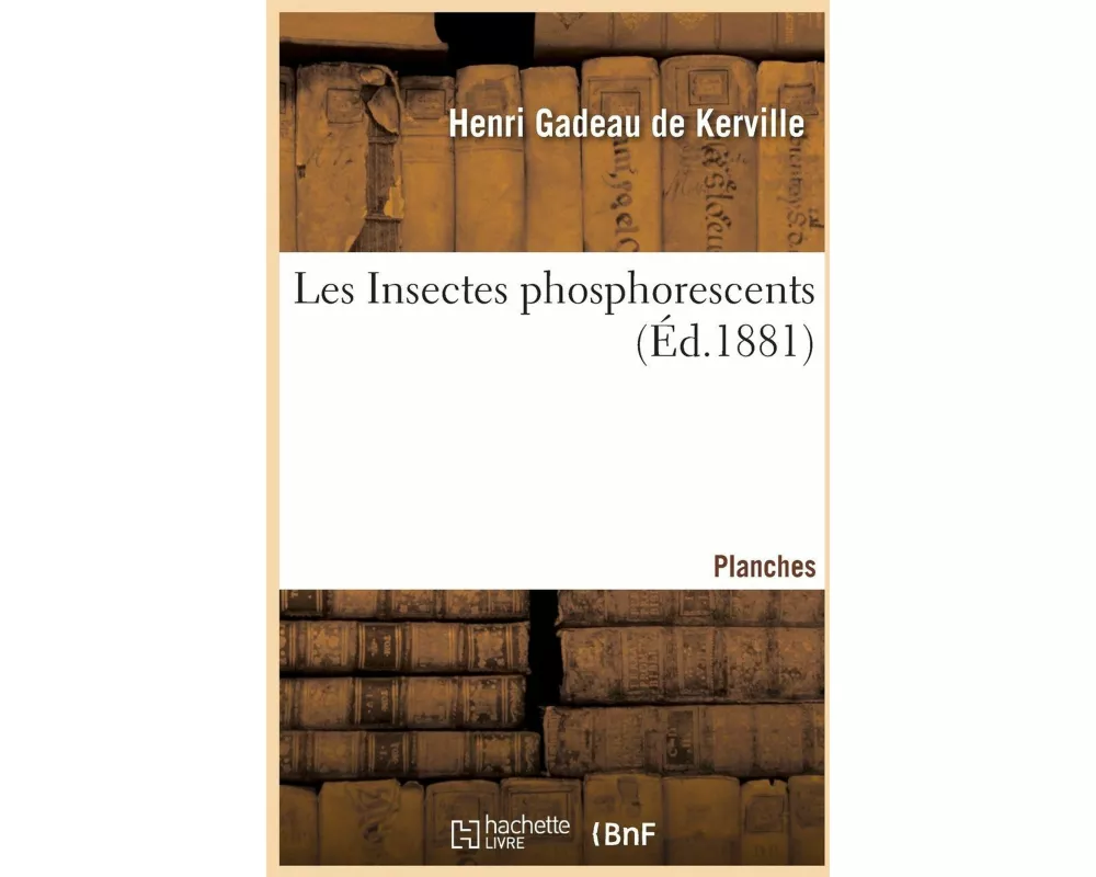 Les Insectes phosphorescents. Planches