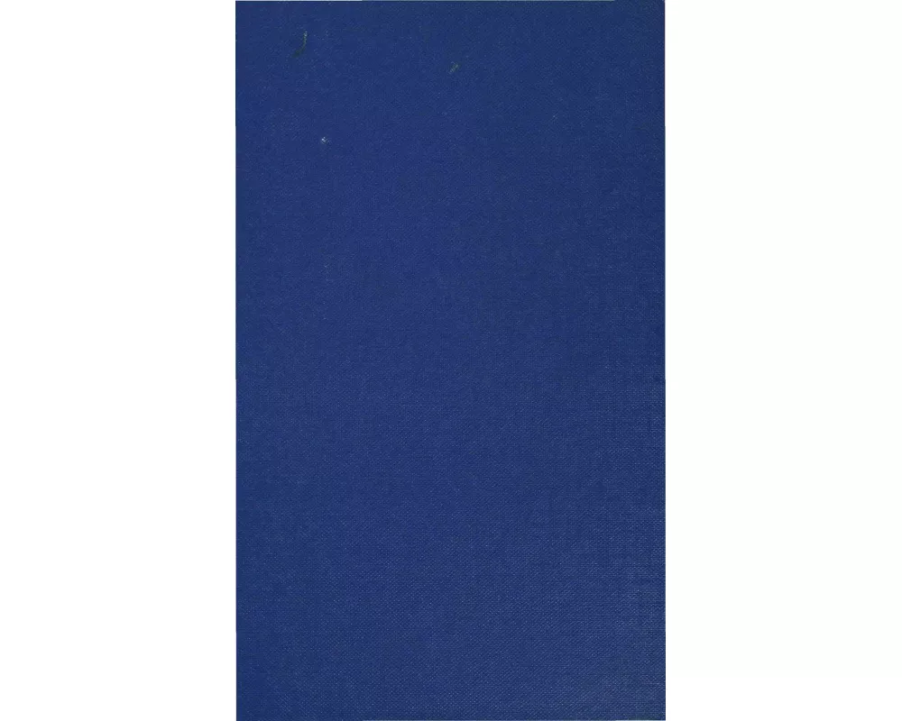 Virginia Woolf a Centenary Perspective