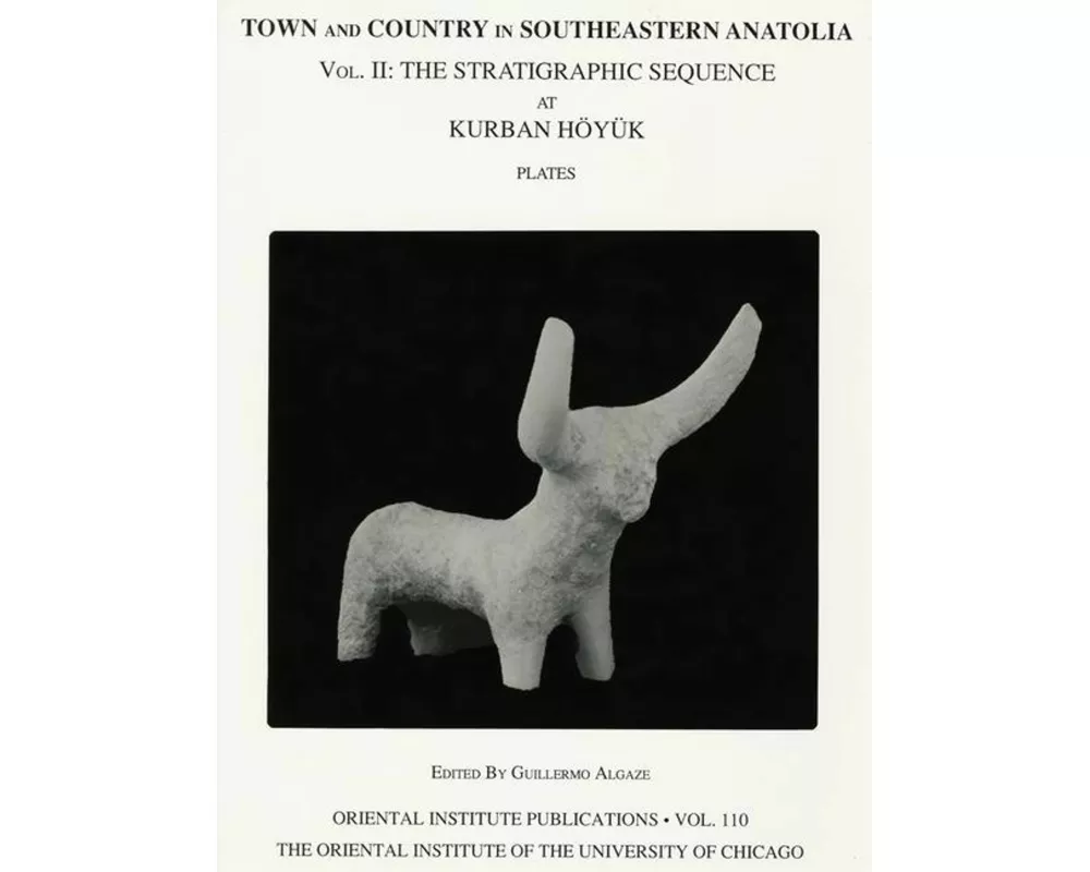 Town and Country in Southeastern Anatolia, Volume II