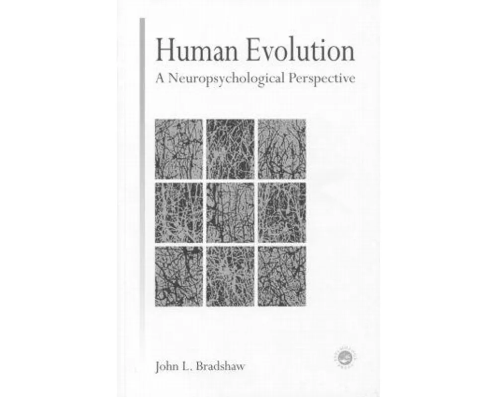 Human Evolution