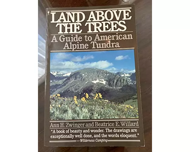 Land Above the Trees