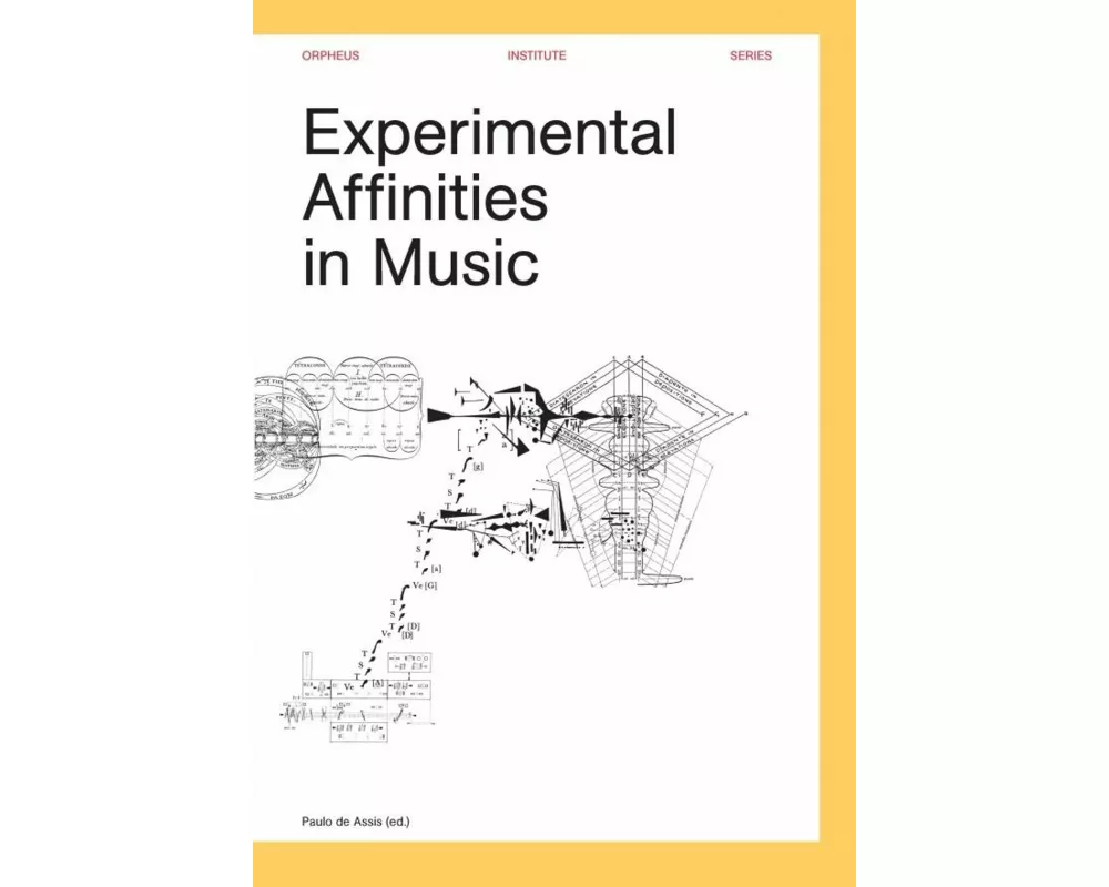 Experimental Affinities in Music