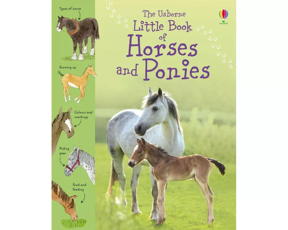 Little Book of Horses and Ponies