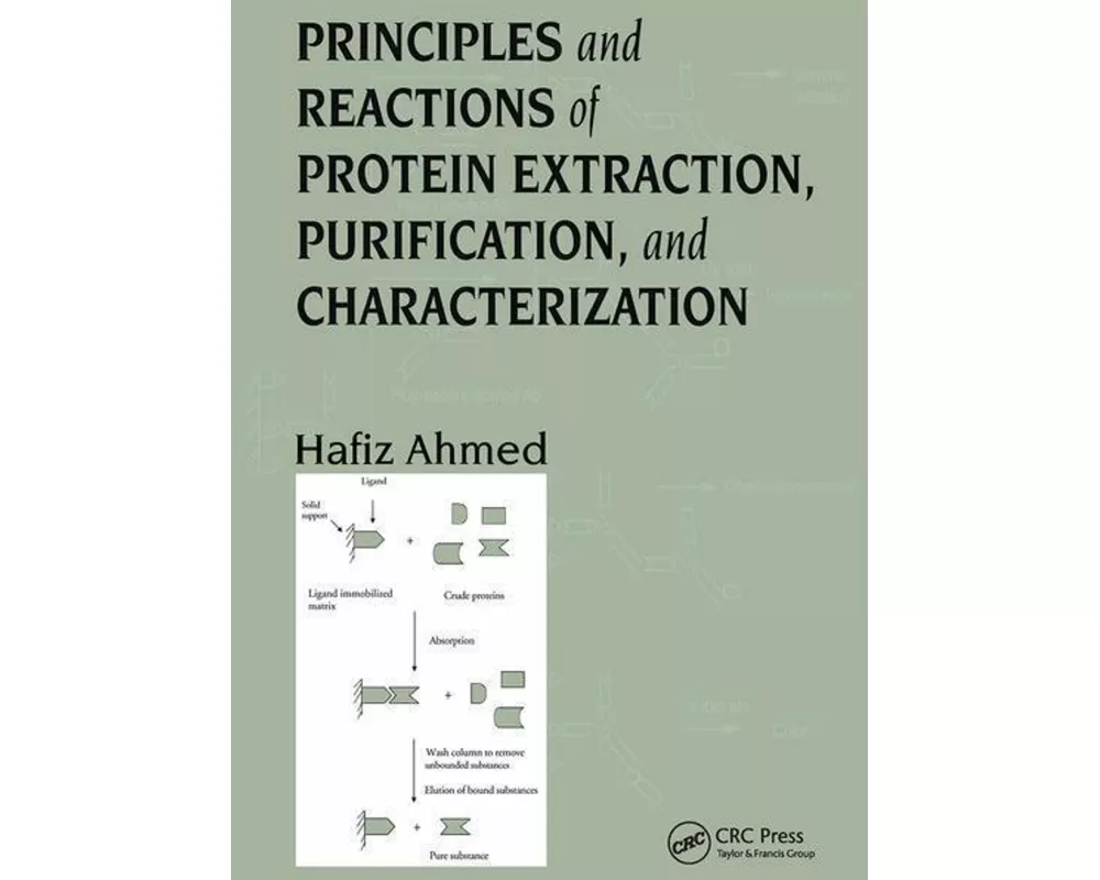Principles and Reactions of Protein Extraction, Purification, and Characterization