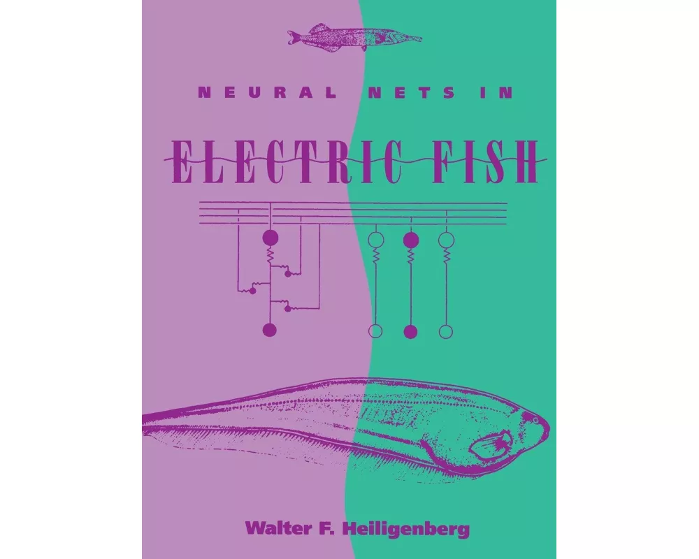 Neural Nets in Electric Fish