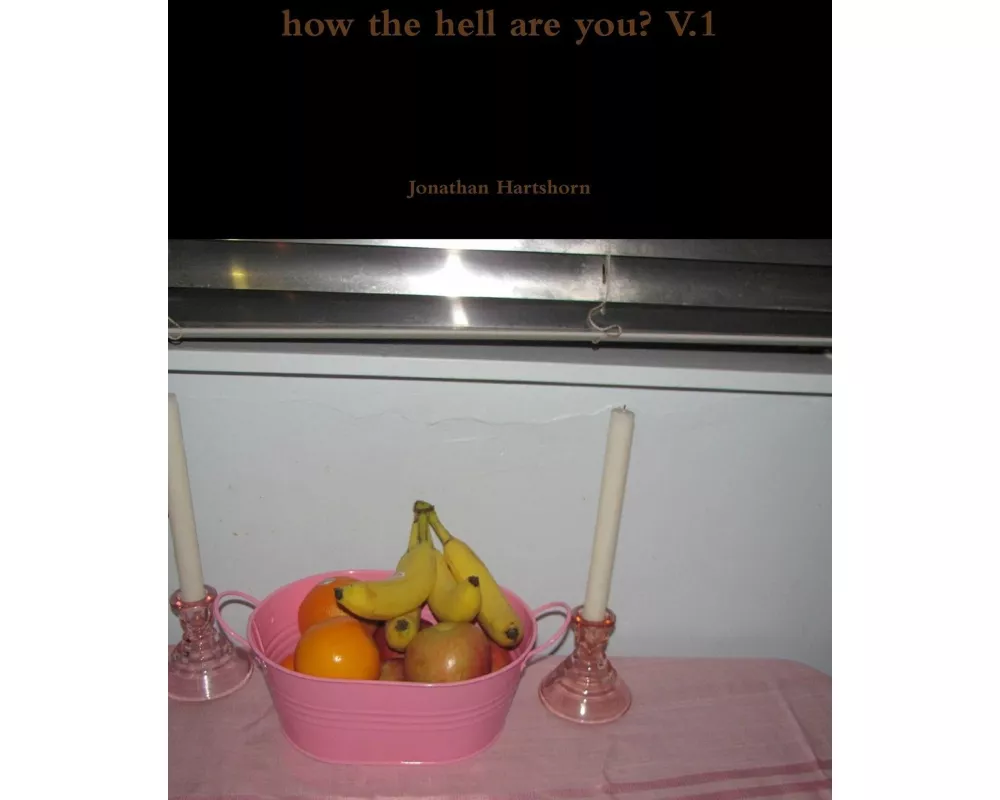 how the hell are you? V.1