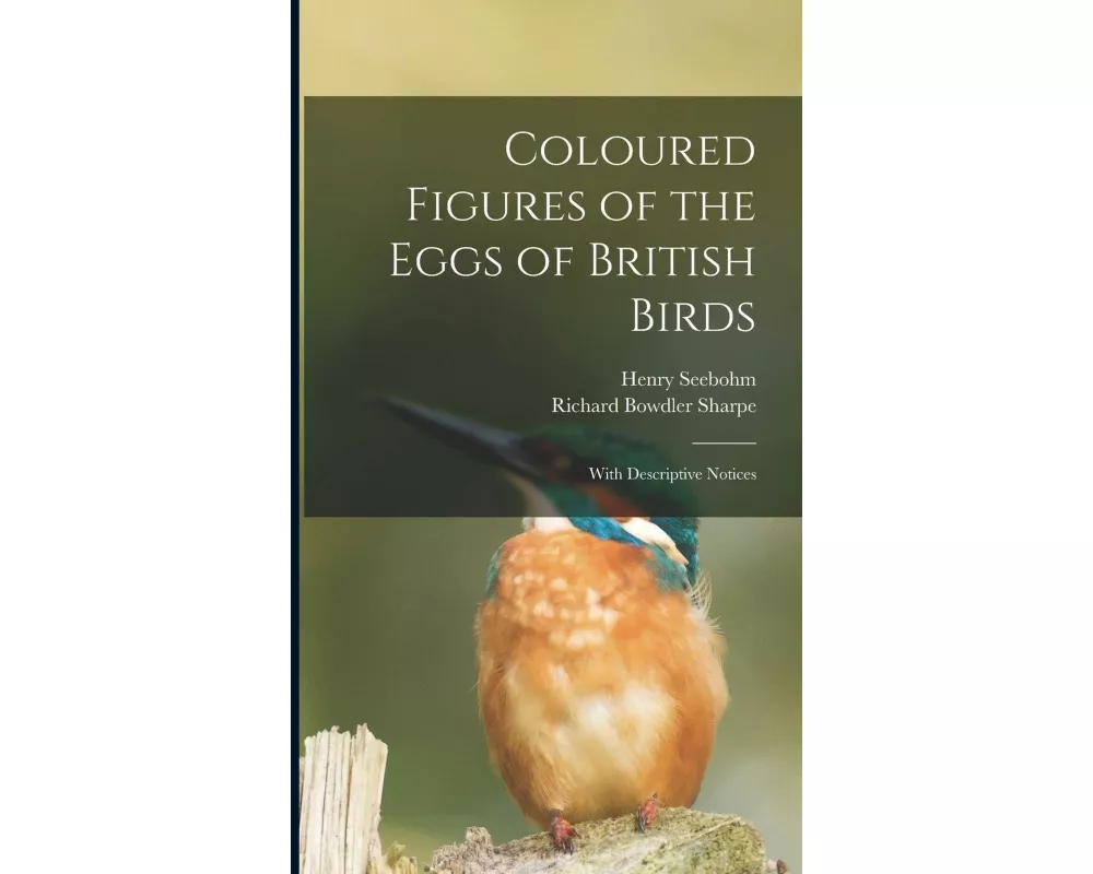 Coloured Figures of the Eggs of British Birds