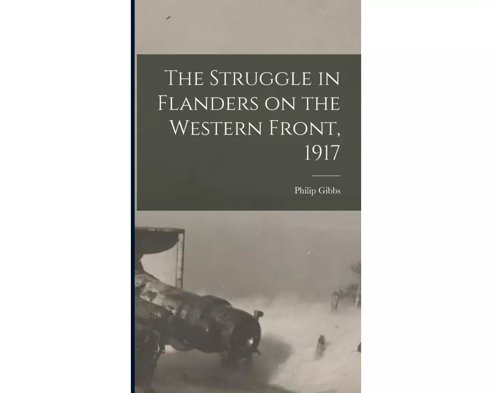 The Struggle in Flanders on the Western Front, 1917