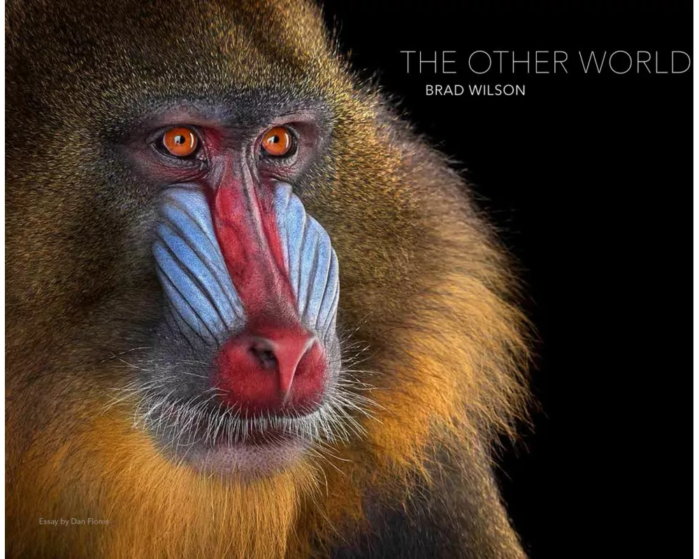 The Other World