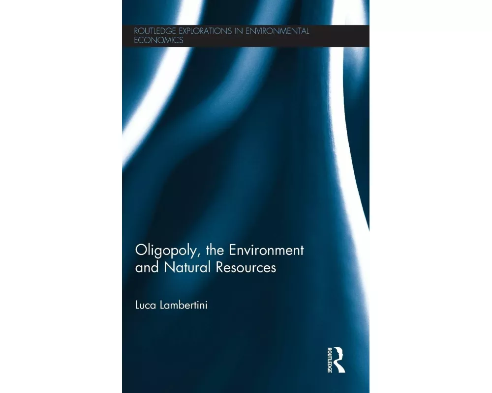 Oligopoly, the Environment and Natural Resources