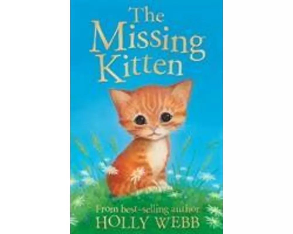 The Missing Kitten