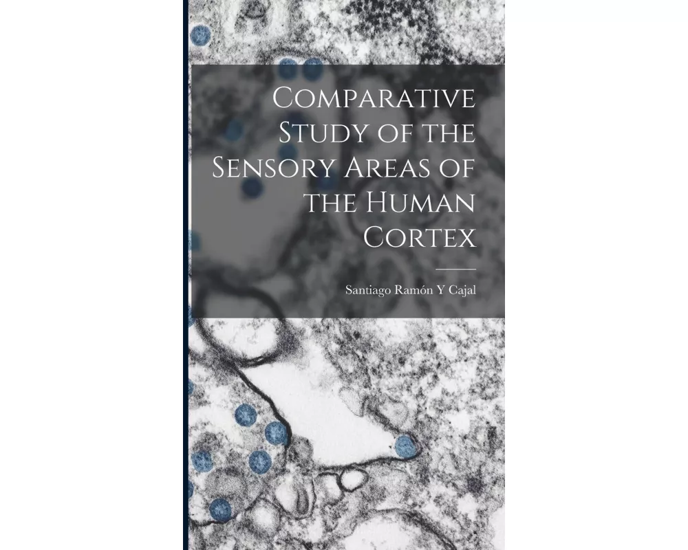 Comparative Study of the Sensory Areas of the Human Cortex