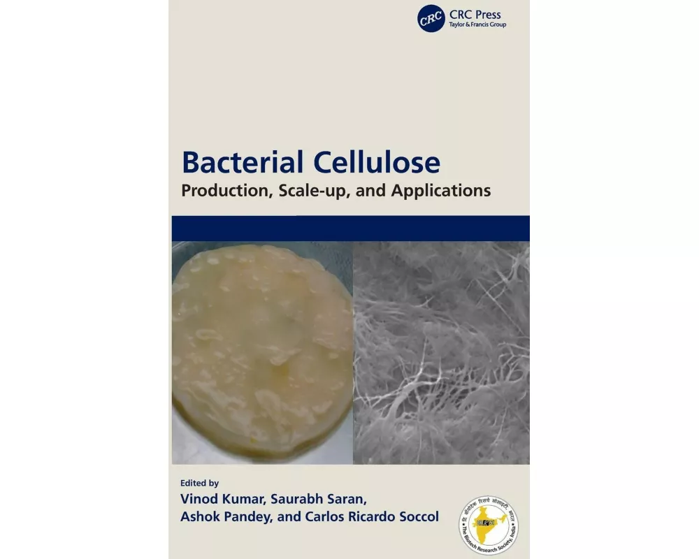 Bacterial Cellulose
