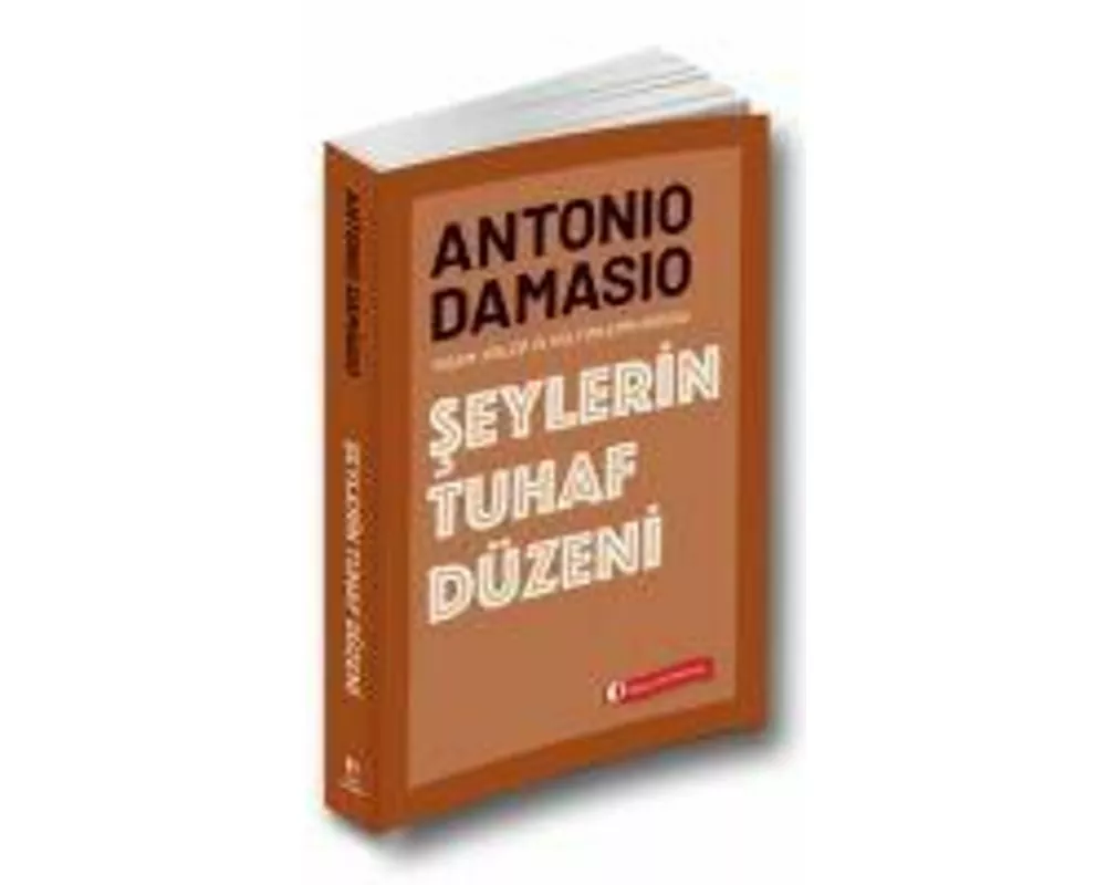 Seylerin Tuhaf Düzeni