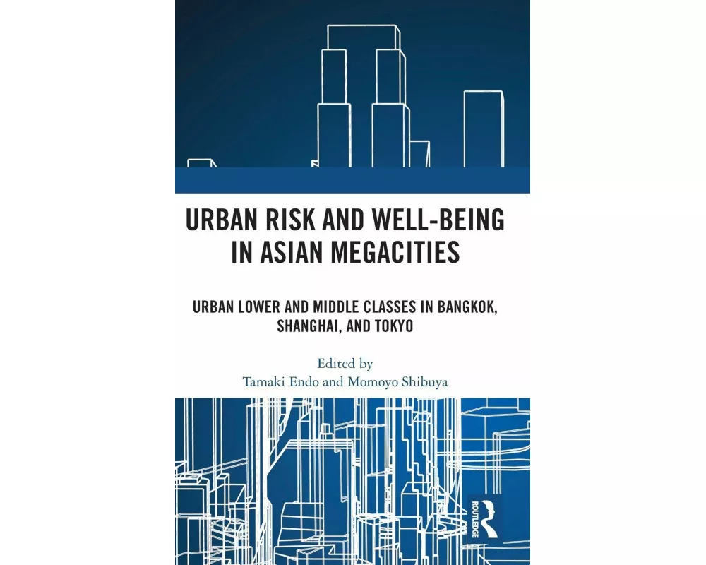 Urban Risk and Well-being in Asian Megacities