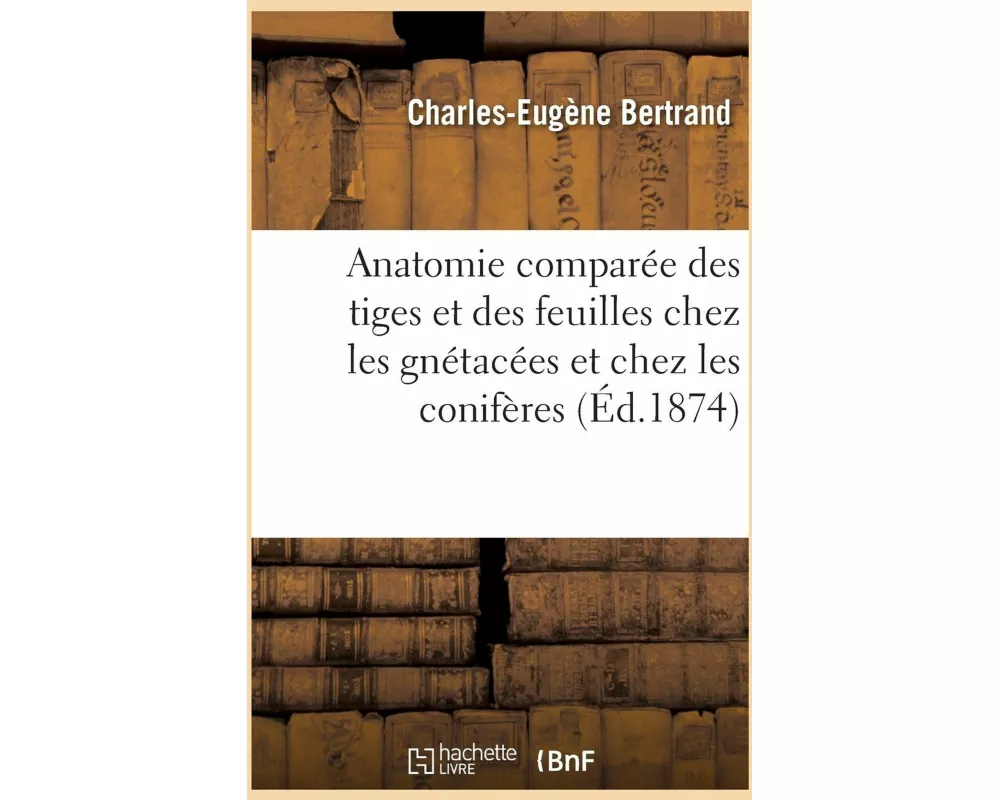 Anatomie comparée des tiges et des feuilles chez les gnétacées et chez les conifères