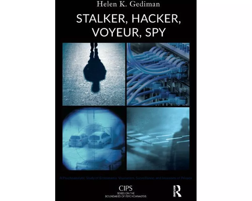Stalker, Hacker, Voyeur, Spy