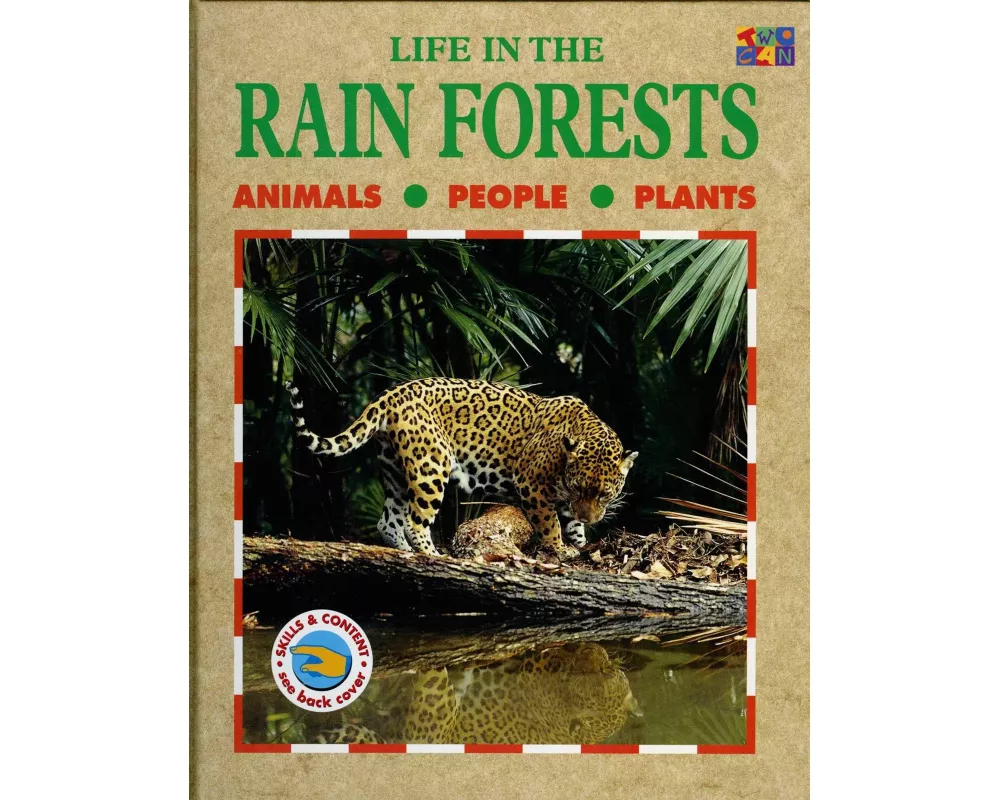Life in the Rainforests
