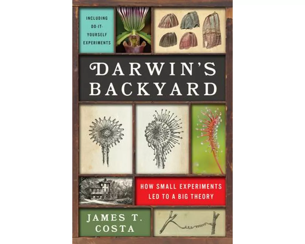 Darwin's Backyard