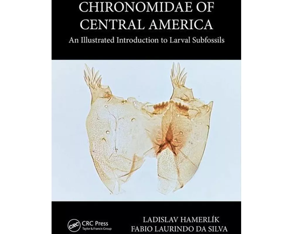 Chironomidae of Central America