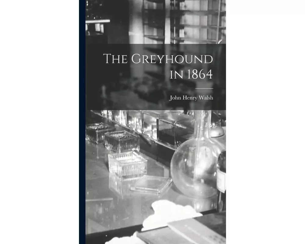 The Greyhound in 1864