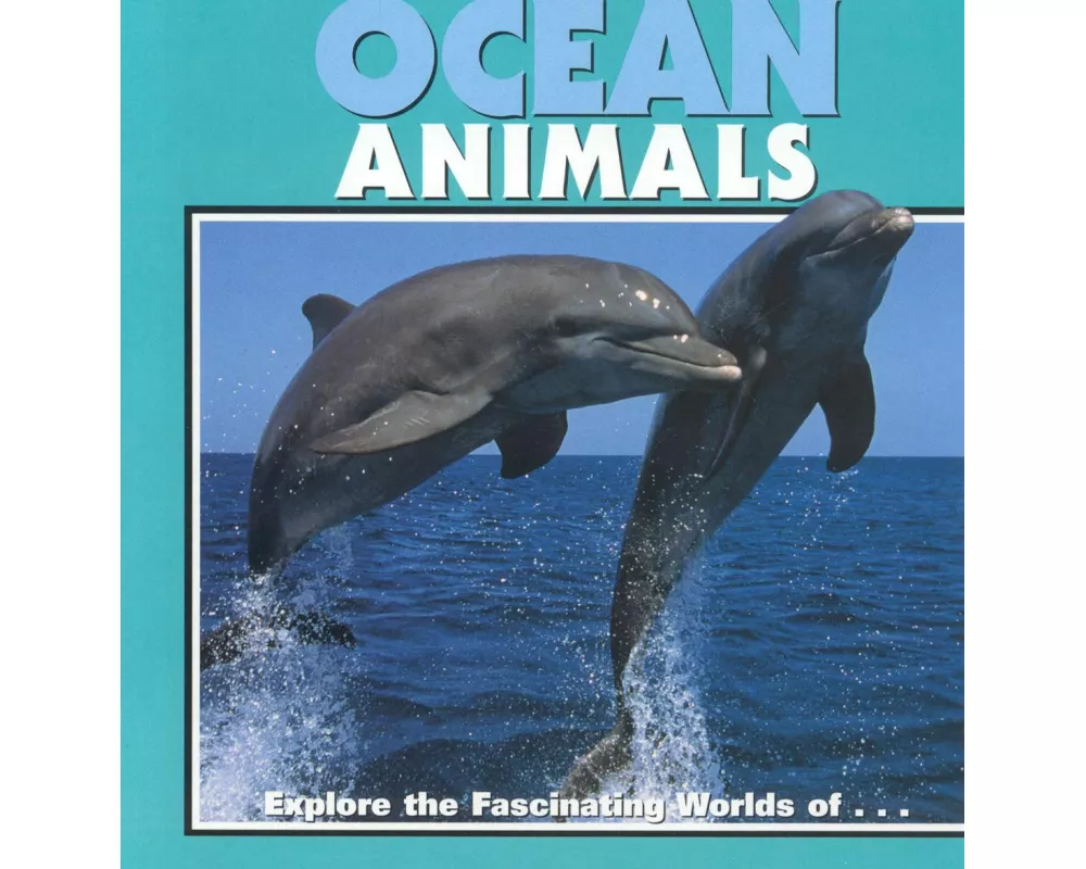 Ocean Animals