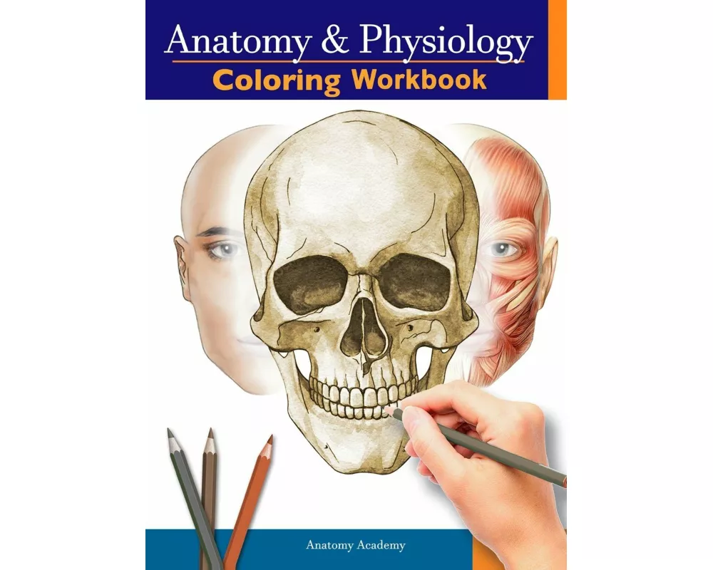 Anatomy and Physiology Coloring Workbook