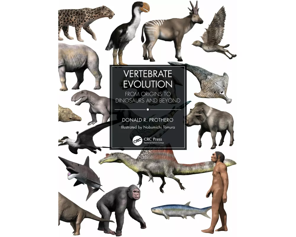Vertebrate Evolution