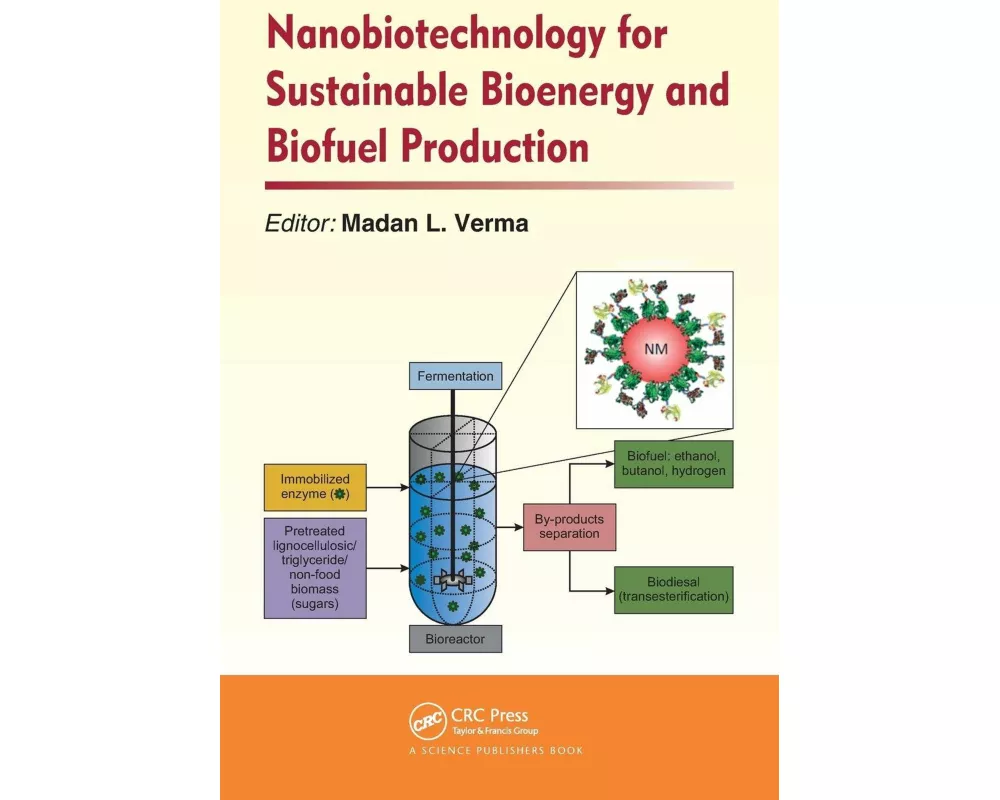 Nanobiotechnology for Sustainable Bioenergy and Biofuel Production
