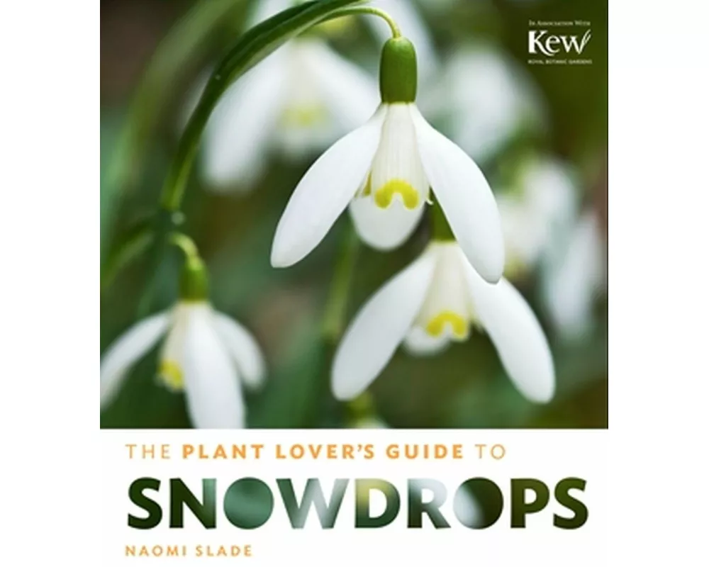 The Plant Lover's Guide to Snowdrops