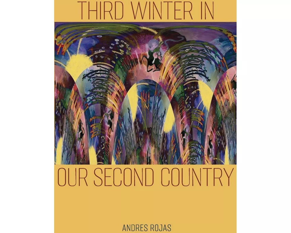Third Winter in Our Second Country