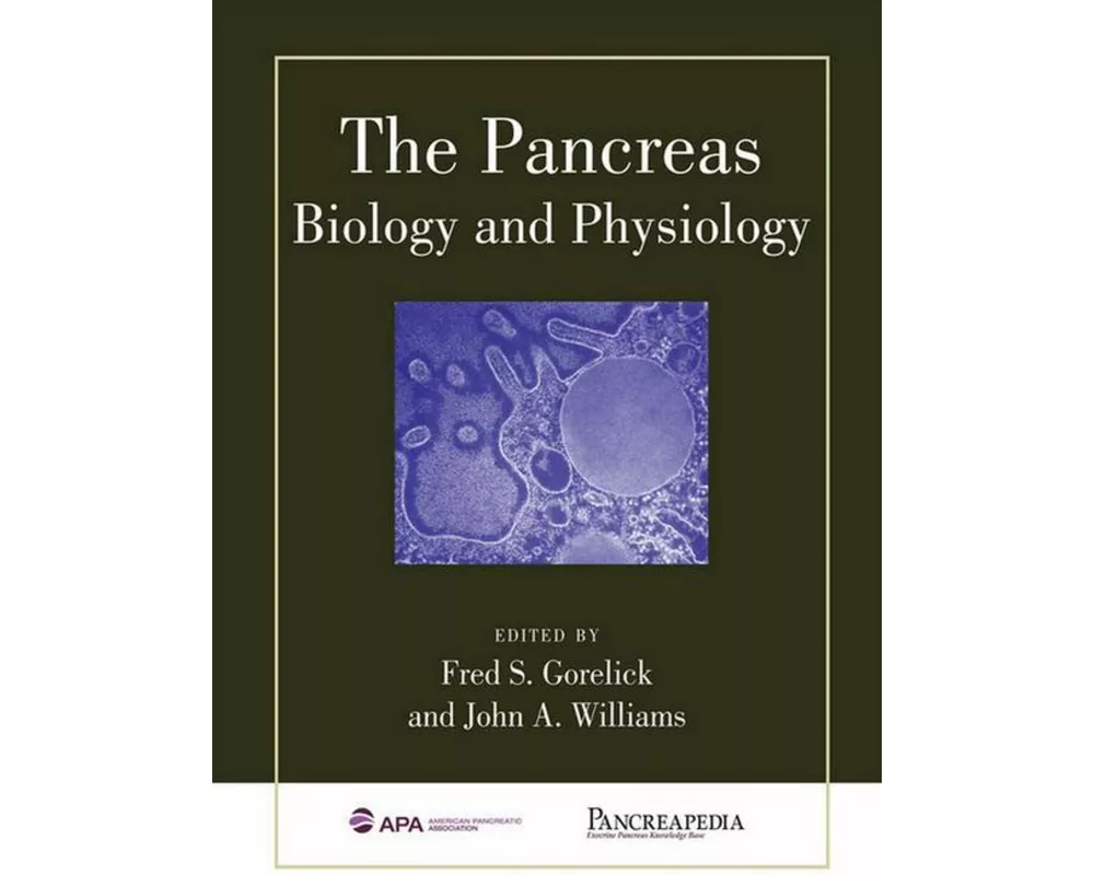 The Pancreas