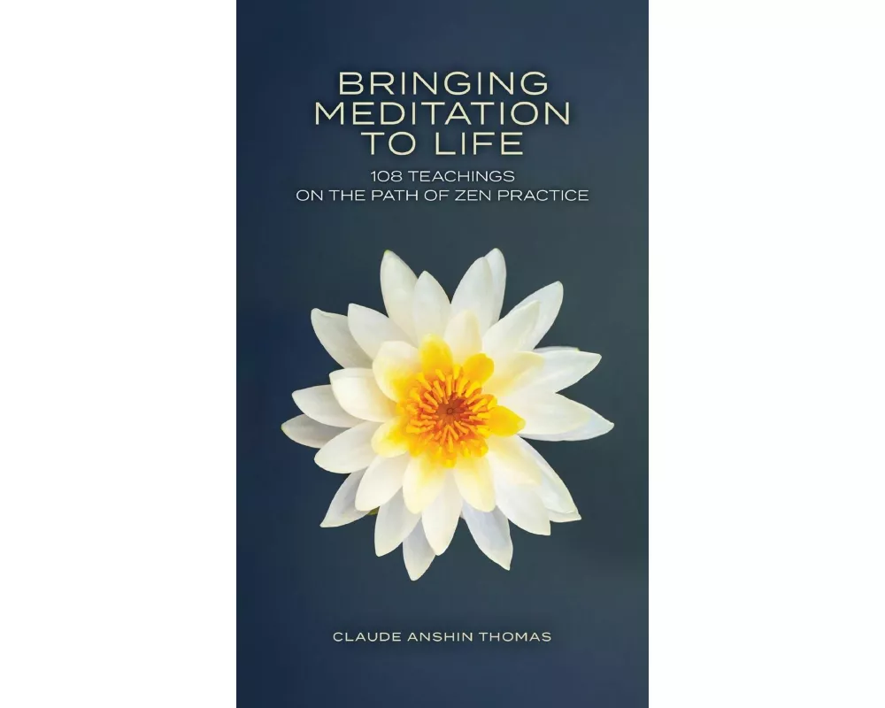 Bringing Meditation to Life