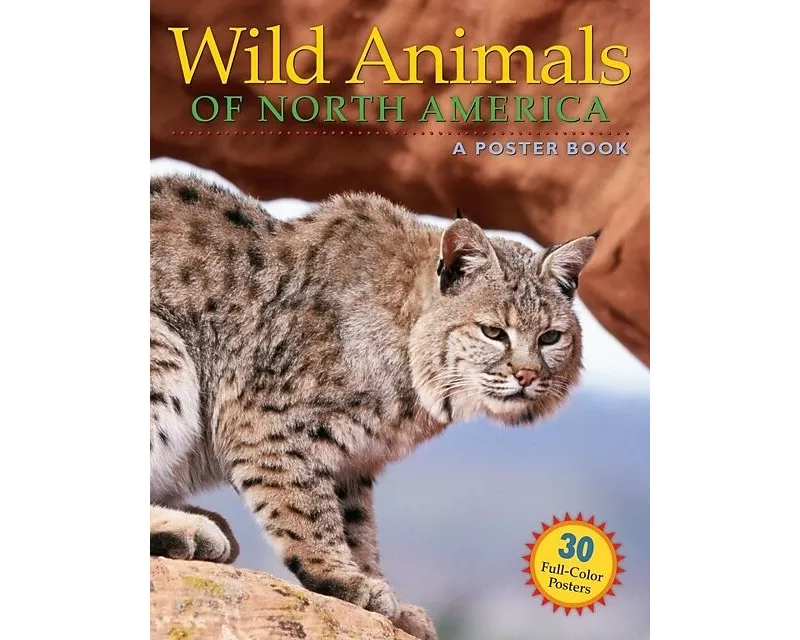 Wild Animals of North America