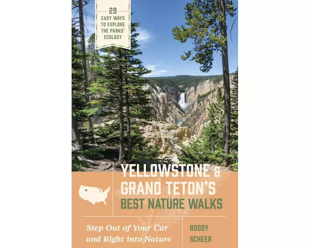 Yellowstone and Grand Teton’s Best Nature Walks