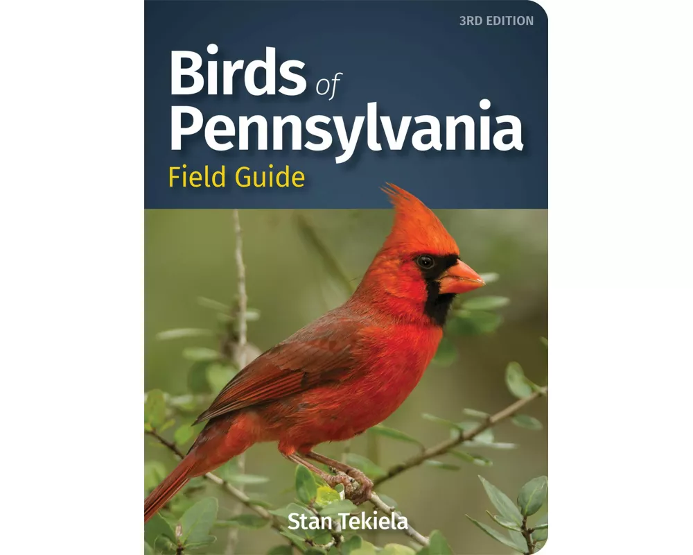 Birds of Pennsylvania Field Guide