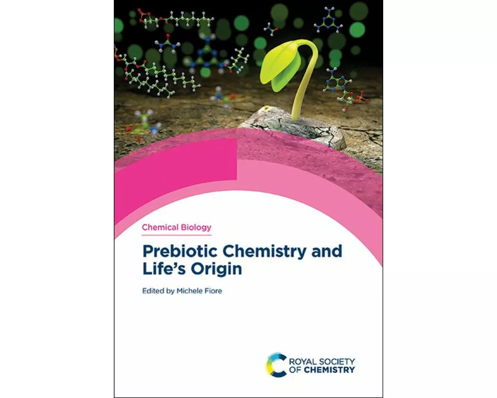 Prebiotic Chemistry and Life's Origin