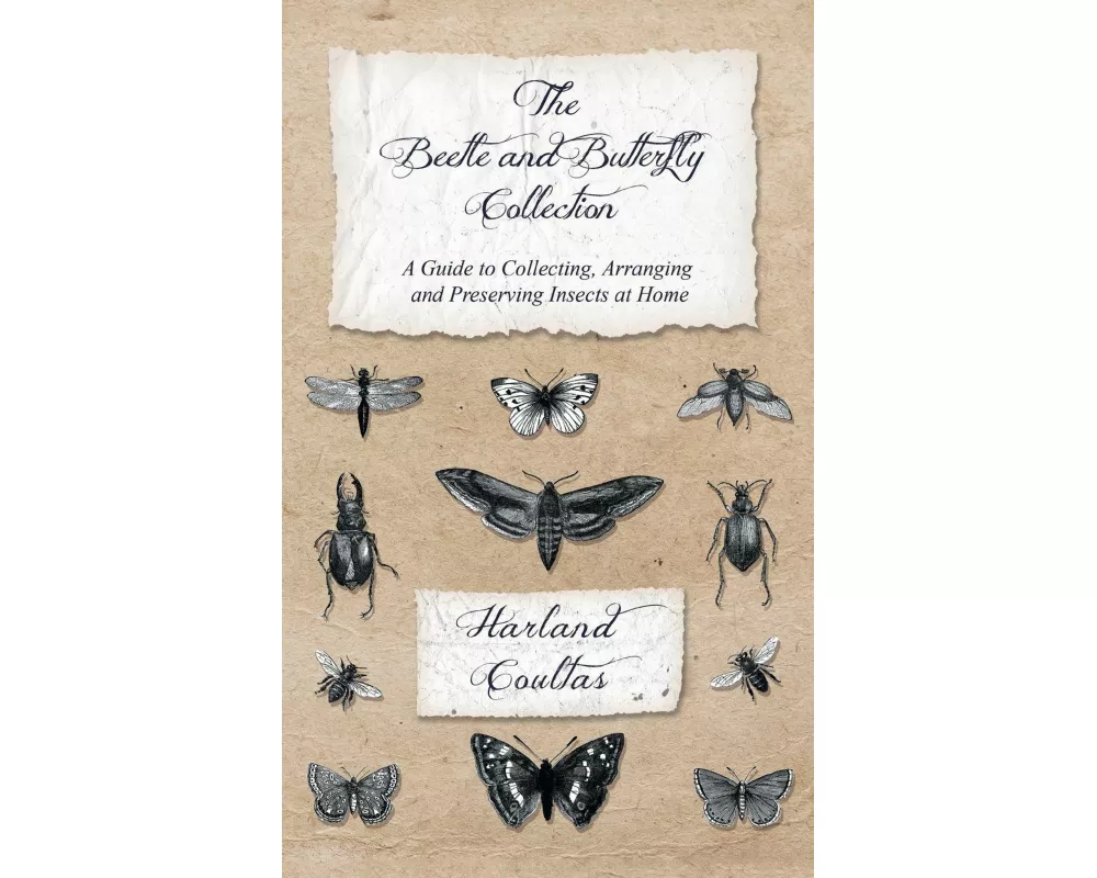 Beetle and Butterfly Collection - A Guide to Collecting, Arranging and Preserving Insects at Home