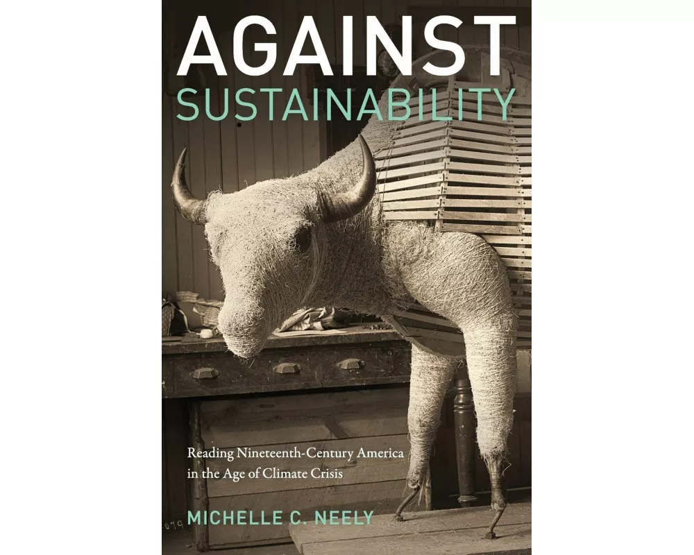 Against Sustainability