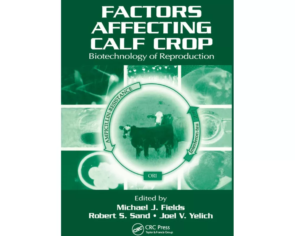 Factors Affecting Calf Crop