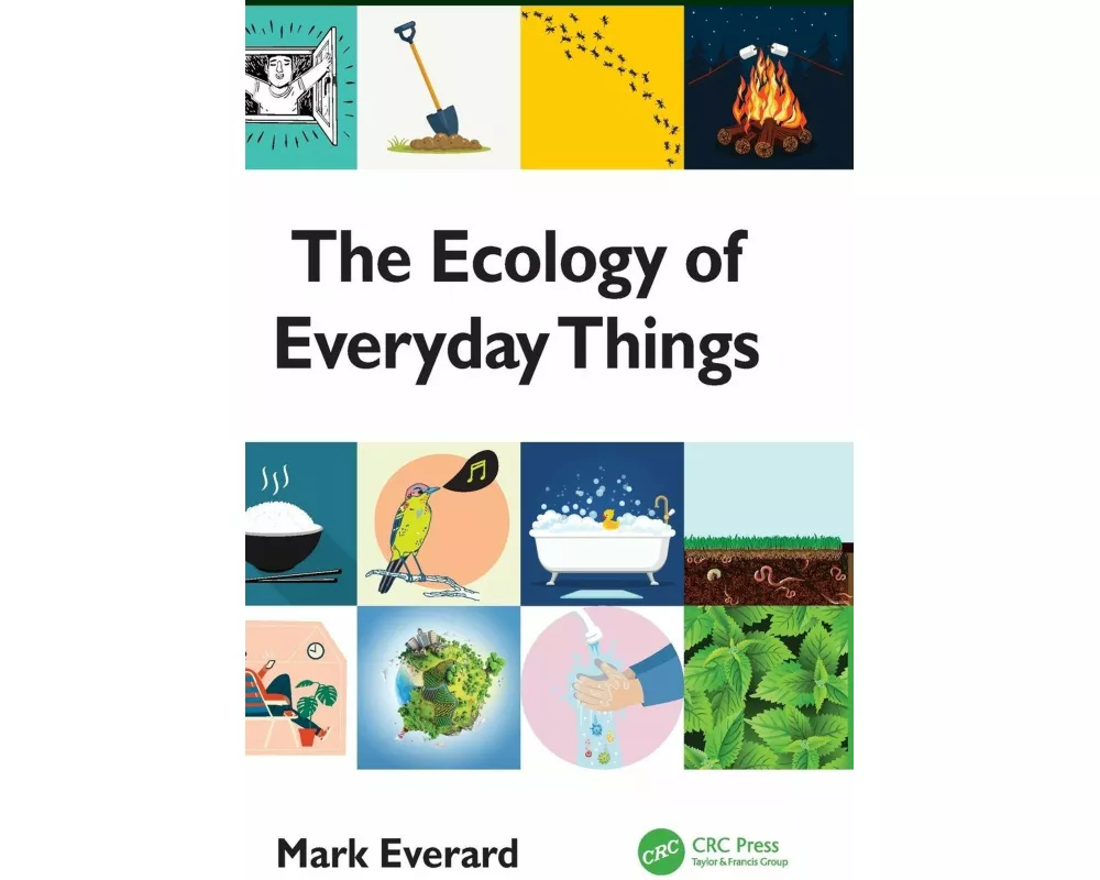 The Ecology of Everyday Things