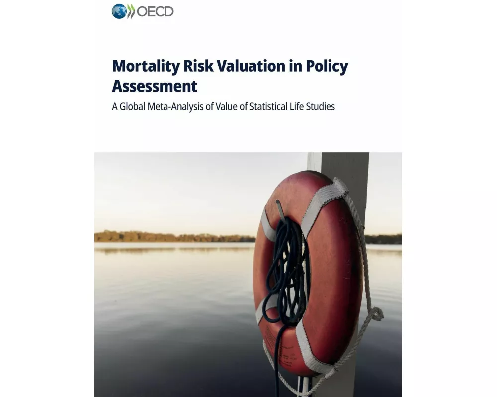 Mortality Risk Valuation in Policy Assessment