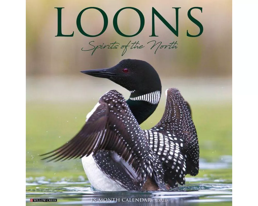 Loons 2026 Wall Calendar