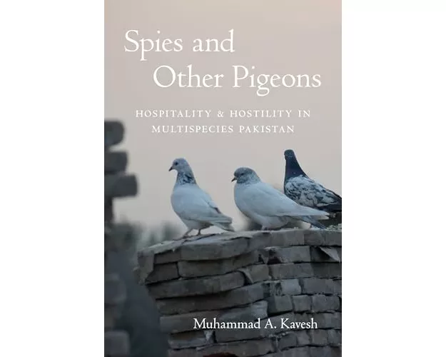 Spies and Other Pigeons