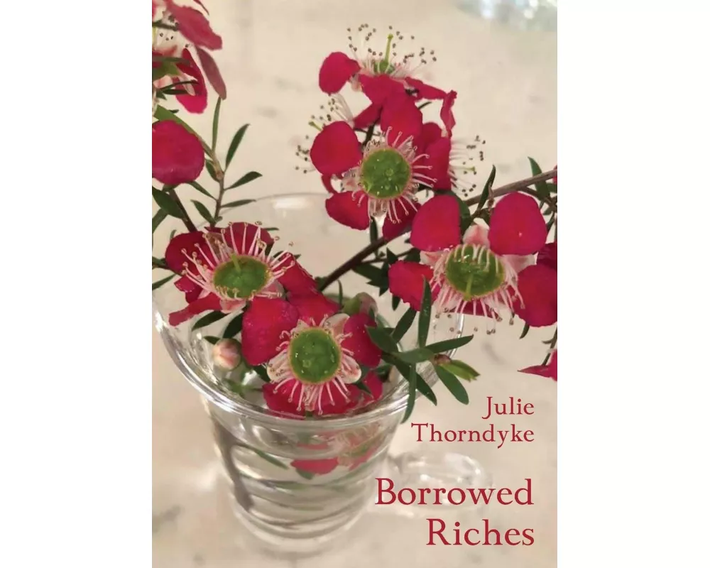 Borrowed Riches