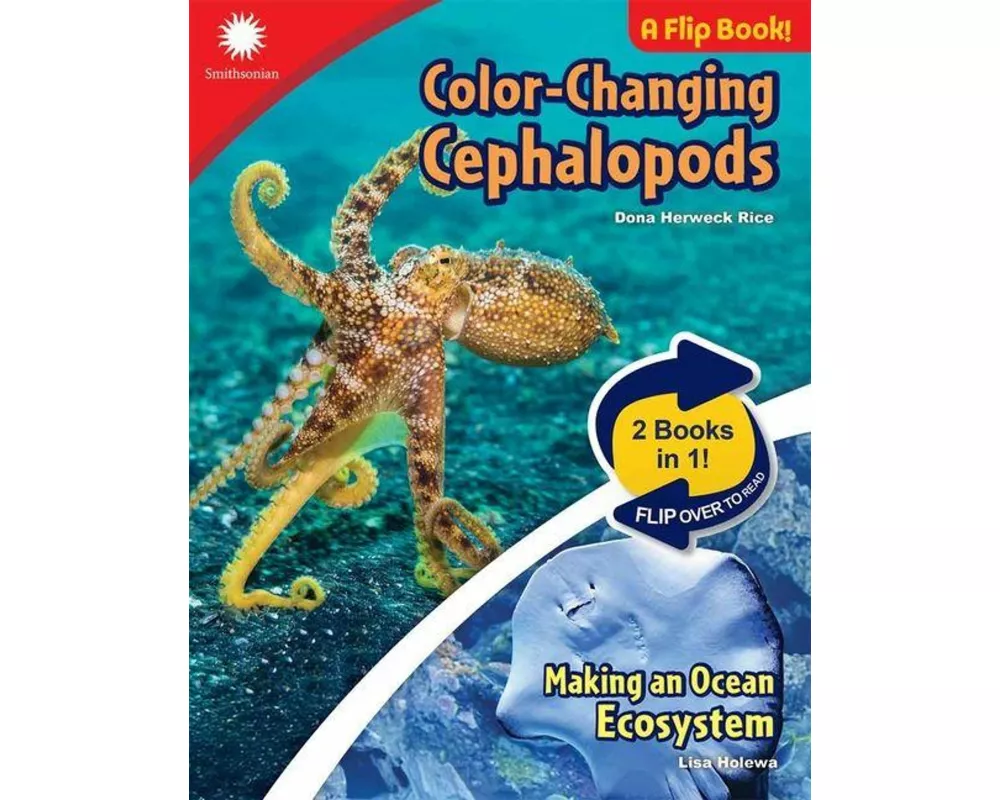Color-Changing Cephalopods & Making an Ocean Ecosystem