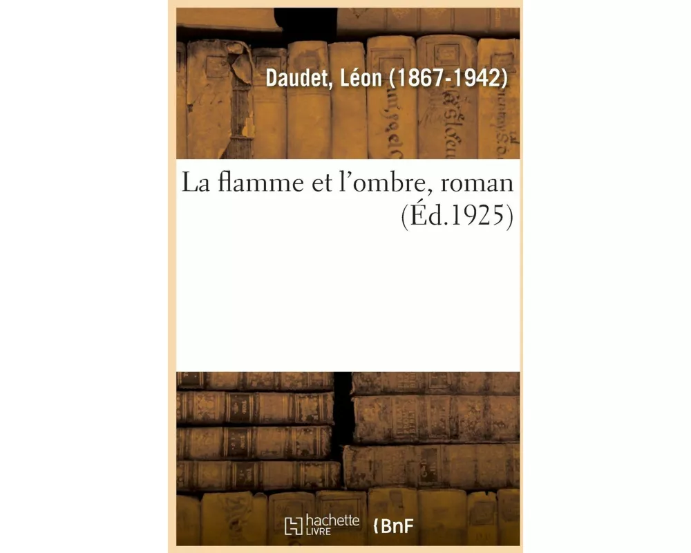La Flamme Et l'Ombre, Roman