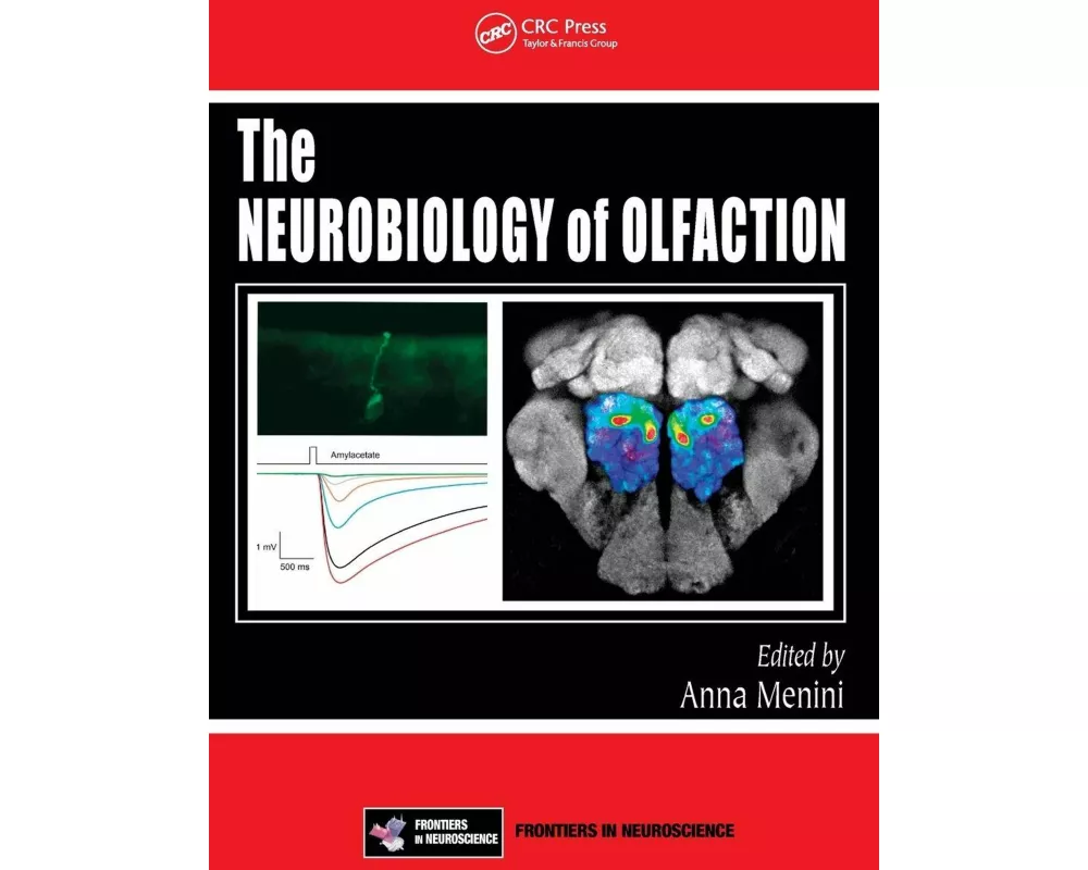 The Neurobiology of Olfaction