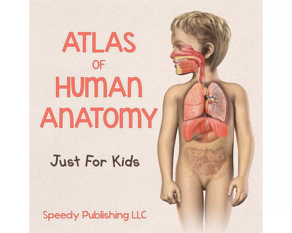 Atlas Of Human Anatomy Just For Kids