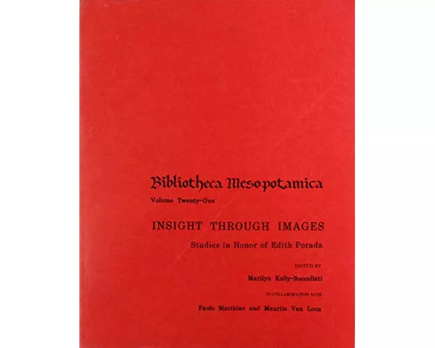 Insight through Images